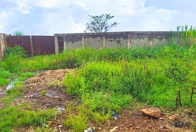 12.5 ac Commercial Land at Thika