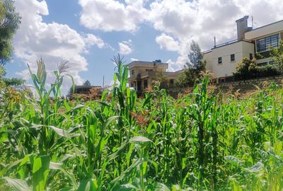 800 m² Residential Land at Nairobi Ndogo Estate - 2