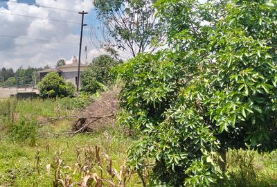 Land at Runda - 4