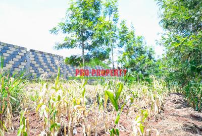 0.1 ha Residential Land at Thamanda