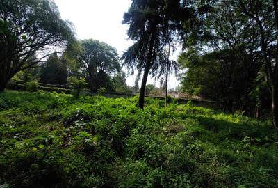 Residential Land at Old Kitisuru