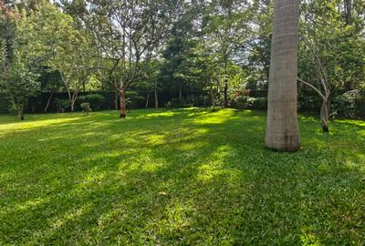 4 Bed Villa with En Suite in Karen - 4