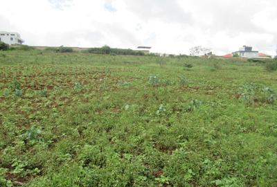 4.5 ac Land at Kibiko - 3