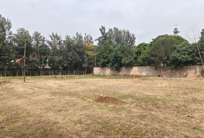 0.5 ac Residential Land at Usiu Road - 3