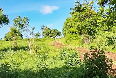 Land at Vipingo - 2
