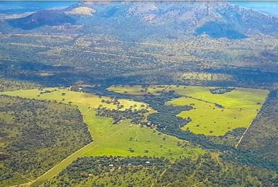 540 ac Land in Bisil
