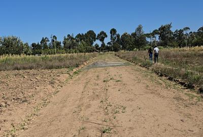 505 ac Land at Maiyan Road