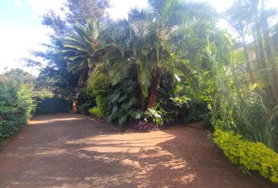 Land at Sports Road - 2