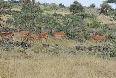 5,000 ac Land at Mombasa Road