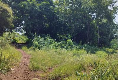 0.125 ac Residential Land at Diani Beach Road - 4