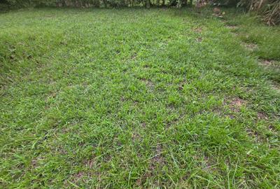 Residential Land in Runda - 2