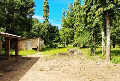 Land at Mtwapa - 4