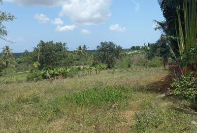 11 ac Residential Land at Ramisi - 3