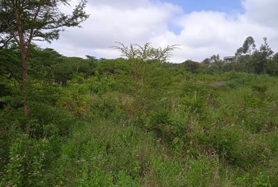 0.25 ac Land in Ngong