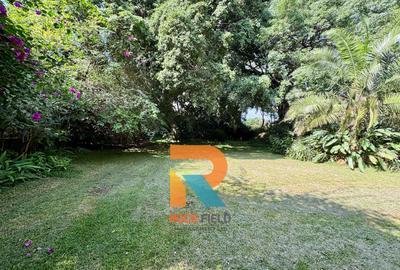 0.8 ac Land at Mandera-Gatundu Road