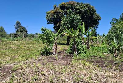 Residential Land at Olkeri