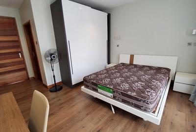 Furnished 2 Bed Apartment with En Suite in Kitisuru - 4