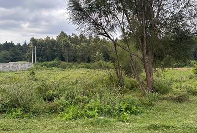 Residential Land in Karen