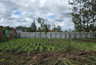 Land at Eastern Bypass