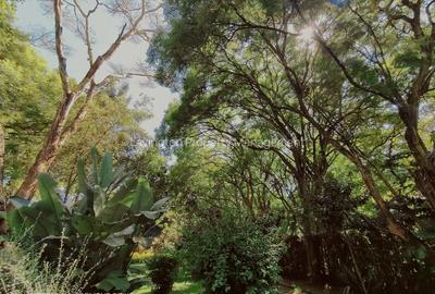0.78 ac Commercial Land at Mugumo Road - 3
