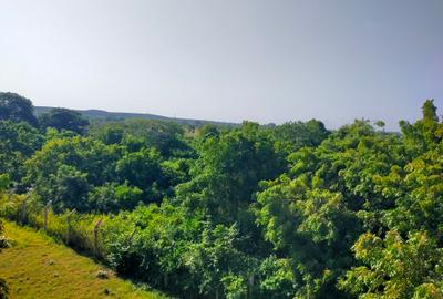 20 ac Land in Vipingo - 2