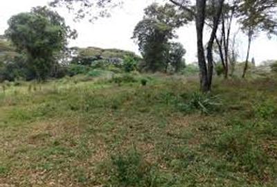 1.7 ac Land in Rosslyn