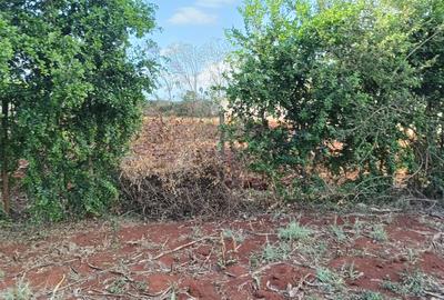 Commercial Land at Thindigua
