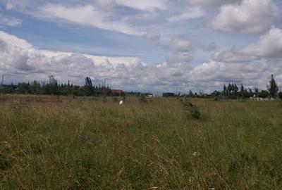 450 m² Residential Land at Muthwani - 3