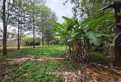 0.5 ac Land in Kitisuru