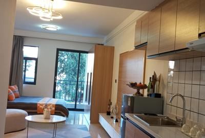 Studio Apartment with Swimming Pool in Ruaka - 4