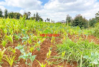 0.05 ha Land in Limuru