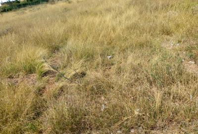 Residential Land at Kitengela - 4