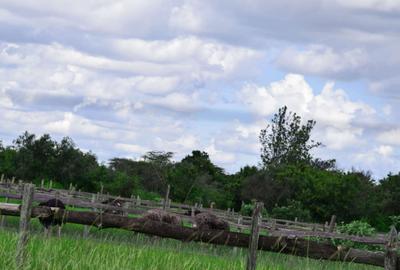 Residential Land at Kitengela Ostrich Farm