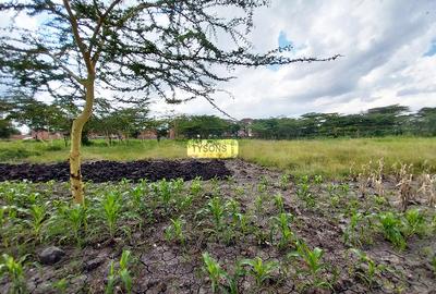 5 ac Commercial Land in South B