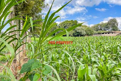 7.5 ac Land in Kikuyu Town