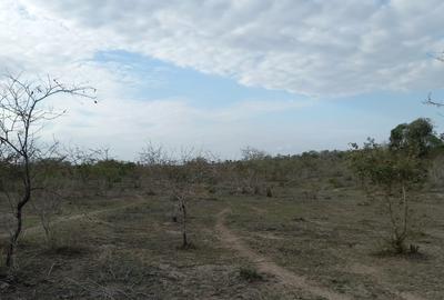 100 ac Commercial Land at Lungalunga