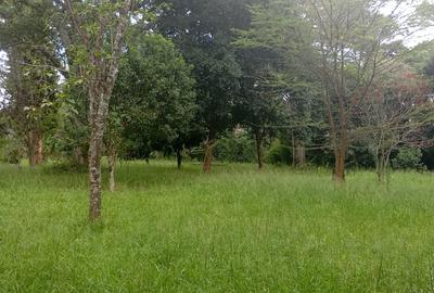 0.5 ac Land at Hardy