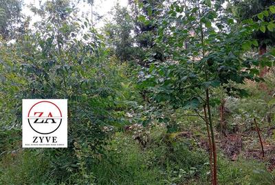 0.125 ac Land at Kasphat Estate