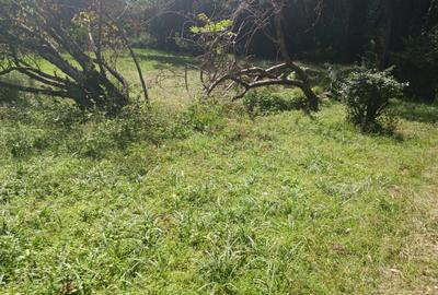 2.2 ac Land at Mbaazi Avenue