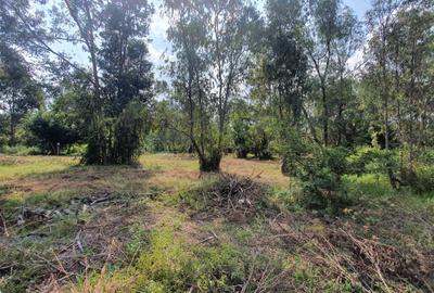 Residential Land in Karen - 3