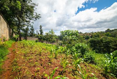 0.5 ac Land at Kinanda Close - 4