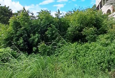 Land at Malindi - 4