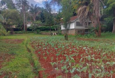 Residential Land in Kyuna - 2