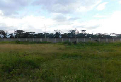 Residential Land in Karen