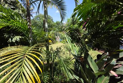 Land in Brookside - 4