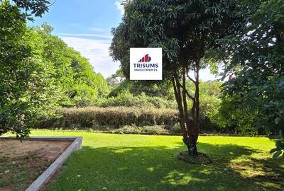 0.75 ac Commercial Property with Fibre Internet in Westlands Area
