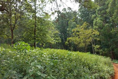 Residential Land at Rosslyn Redhill Road