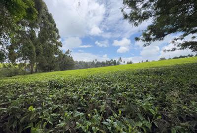 1 ac Land in Tigoni - 4