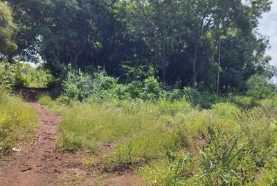 0.125 ac Residential Land at Diani Beach Road