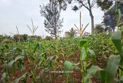 0.5 ac Land in Runda - 2